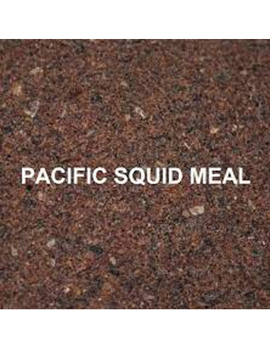 Massive Baits Pacific Squid Meal 1kg