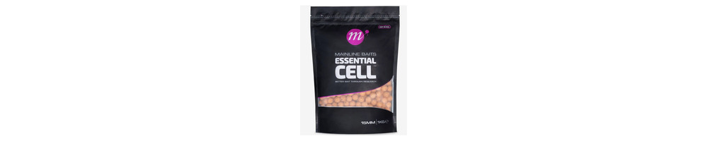 ESSENTIAL CELL